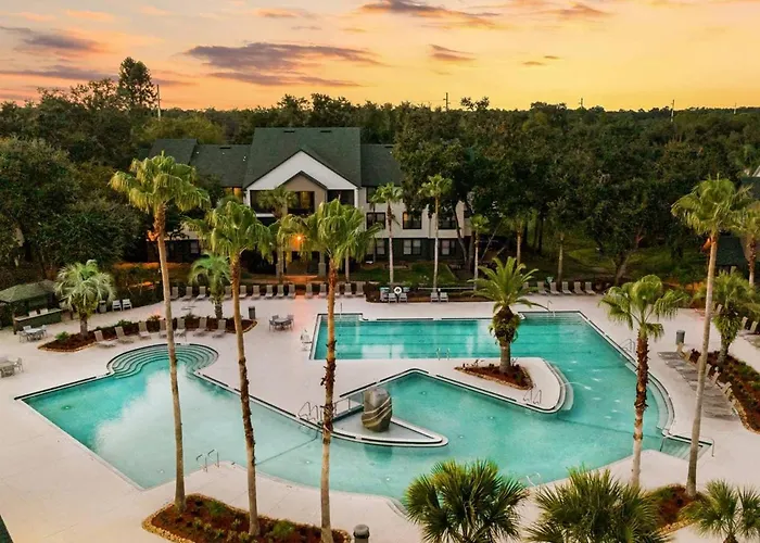 5 Mi To Busch Gardens + 2 Mi To Usf + Pool + Gym