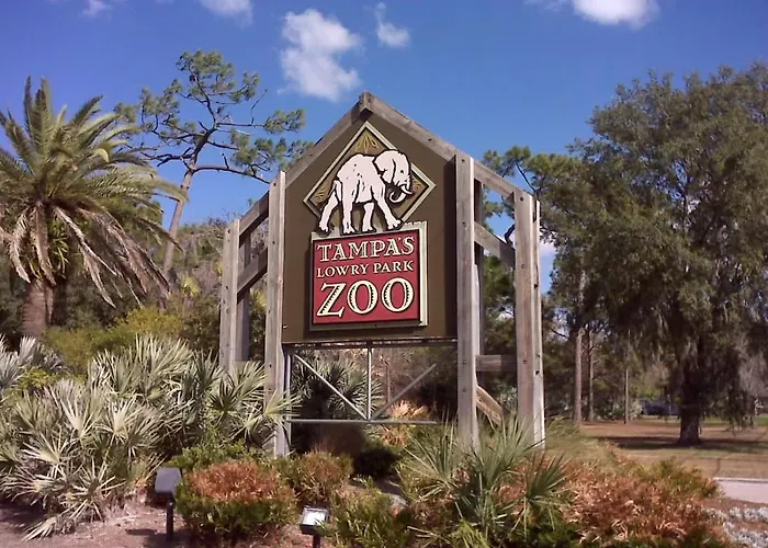 5 Mi To Busch Gardens + 2 Mi To Usf + Pool + Gym