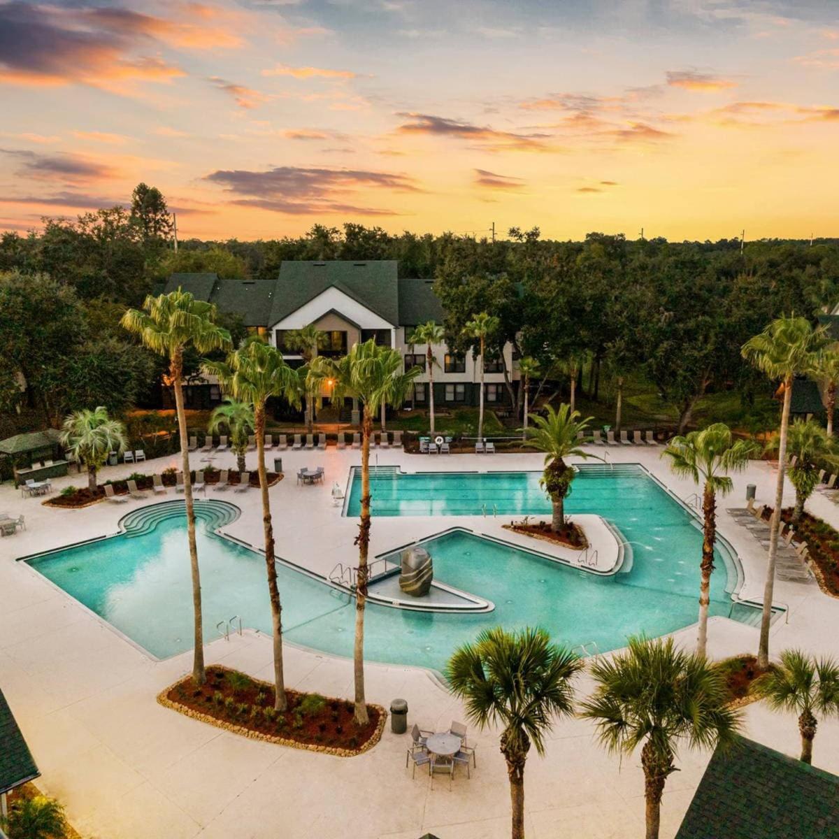 Apartment 5 Mi To Busch Gardens + 2 Mi To Usf + Pool + Gym *