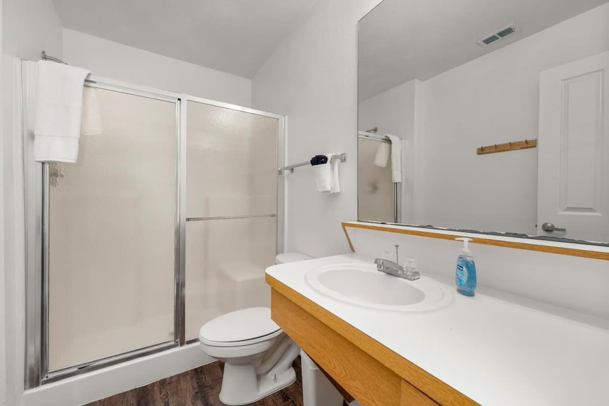 5 Mi To Busch Gardens + 2 Mi To Usf + Pool + Gym Apartment *