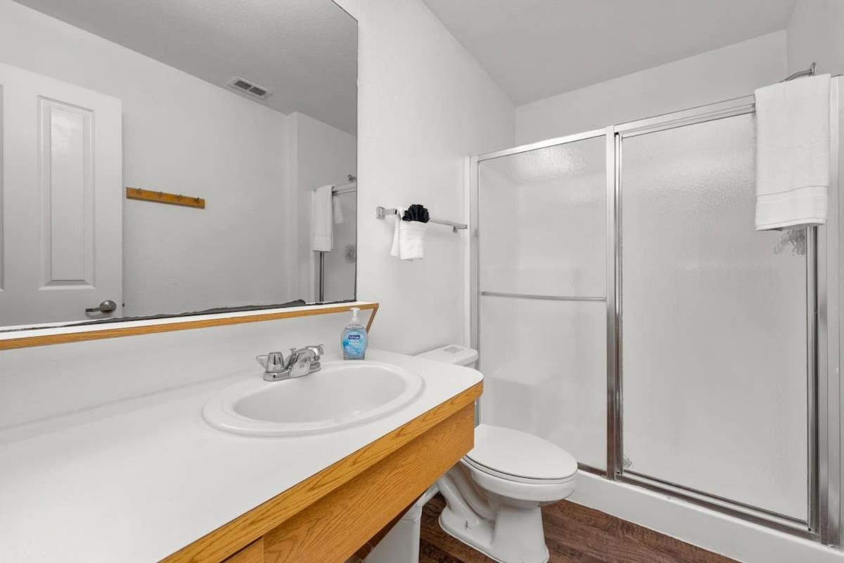 Apartment 5 Mi To Busch Gardens + 2 Mi To Usf + Pool + Gym Tampa