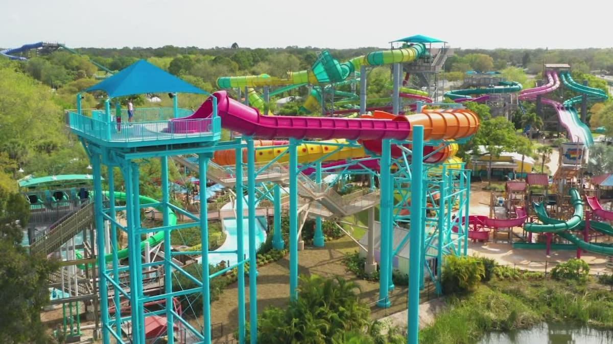 5 Mi To Busch Gardens + 2 Mi To Usf + Pool + Gym