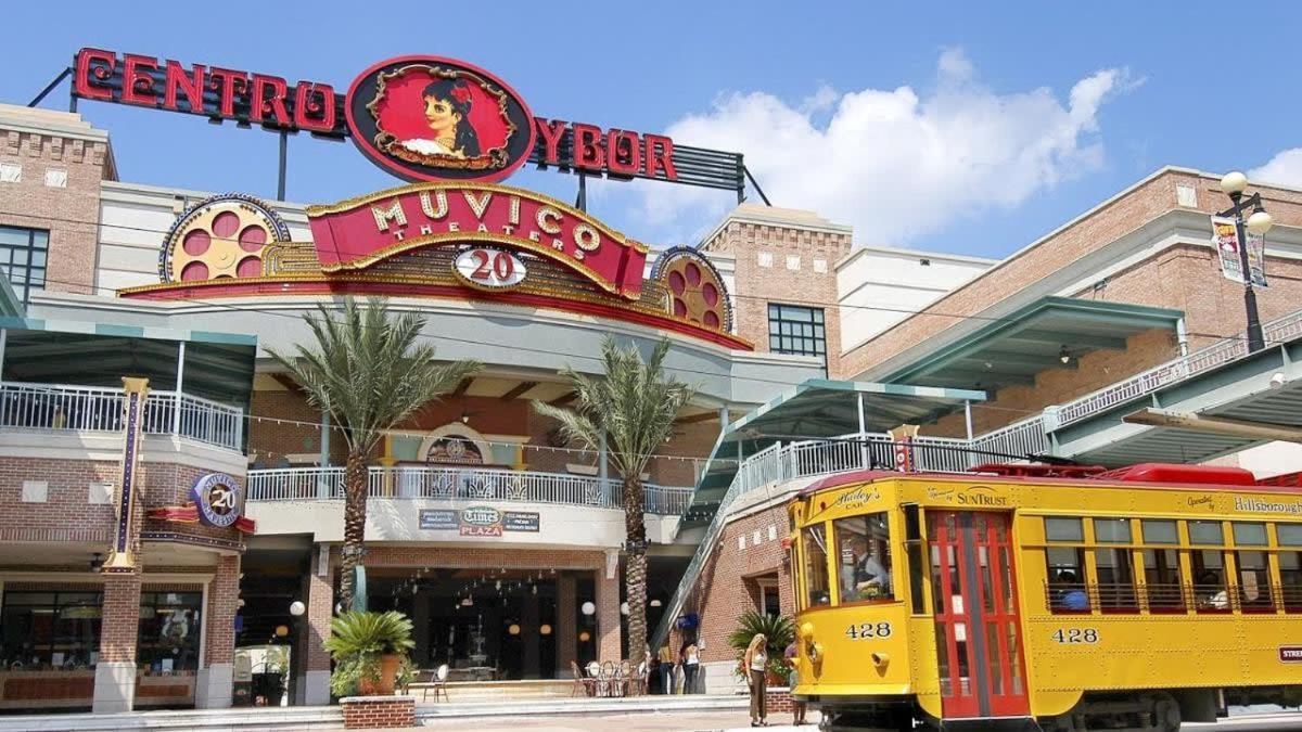 Apartment 5 Mi To Busch Gardens + 2 Mi To Usf + Pool + Gym *