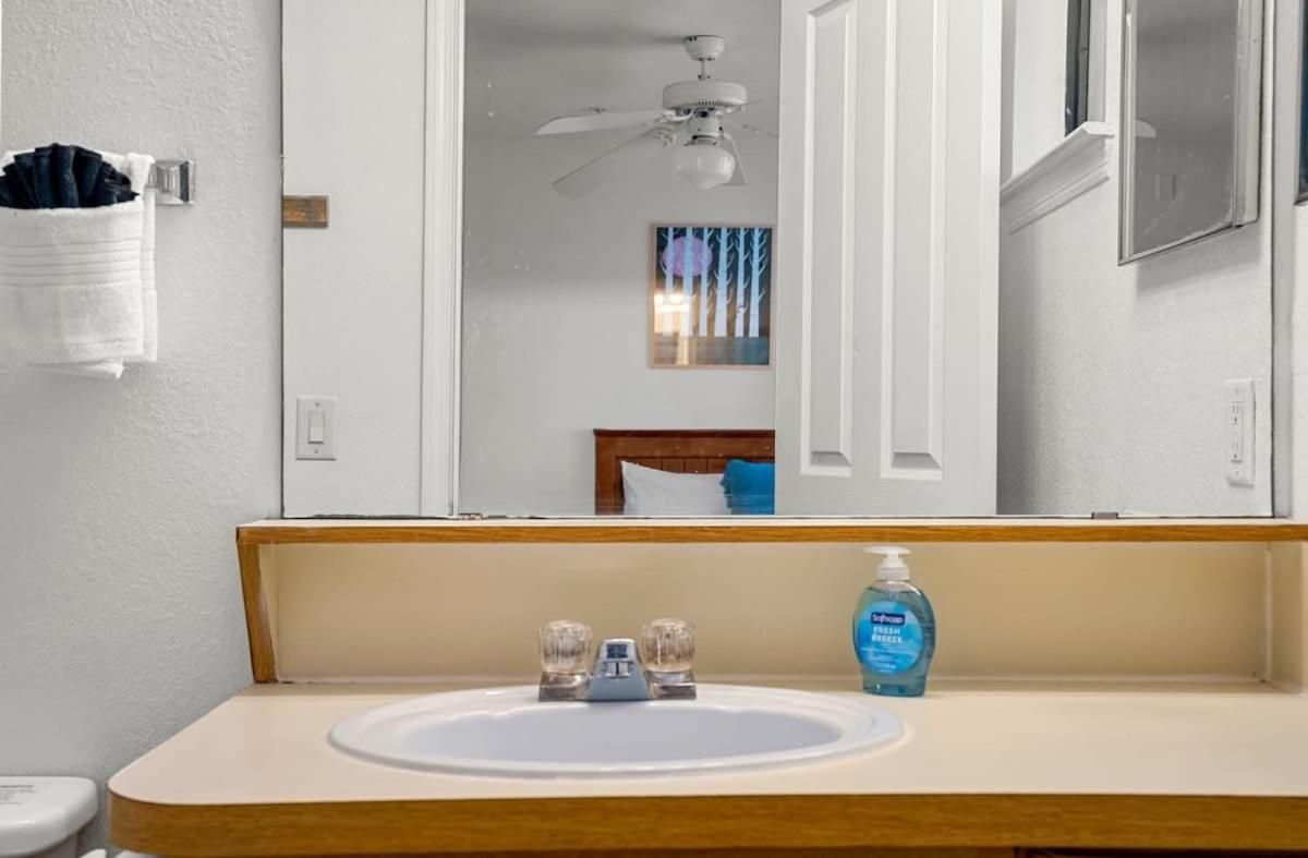 5 Mi To Busch Gardens + 2 Mi To Usf + Pool + Gym Apartment Tampa