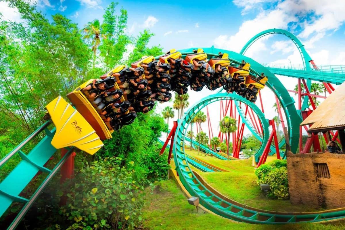 5 Mi To Busch Gardens + 2 Mi To Usf + Pool + Gym