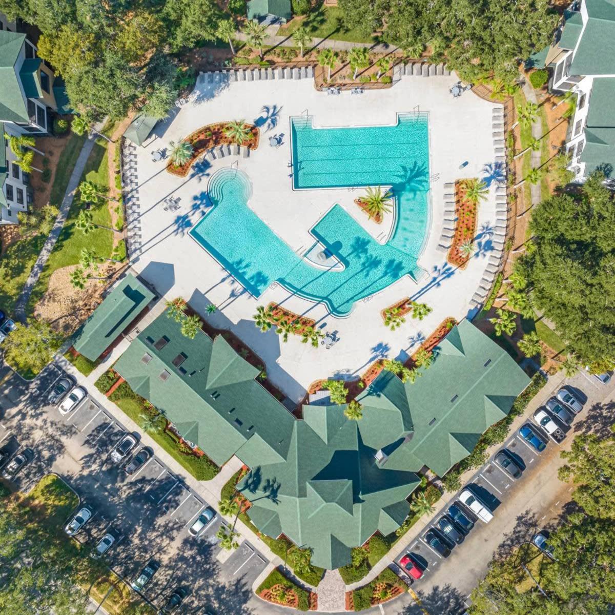 5 Mi To Busch Gardens + 2 Mi To Usf + Pool + Gym Apartment