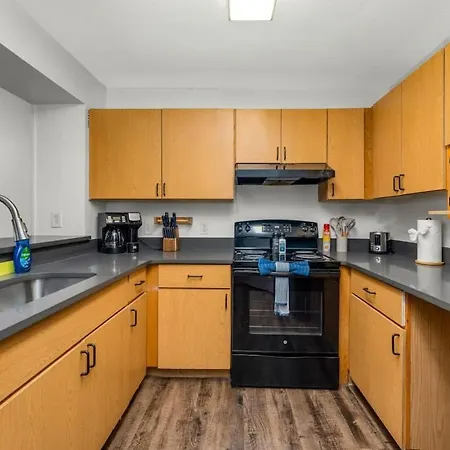 5 Mi To Busch Gardens + 2 Mi To Usf + Pool + Gym Apartment Tampa Exterior photo